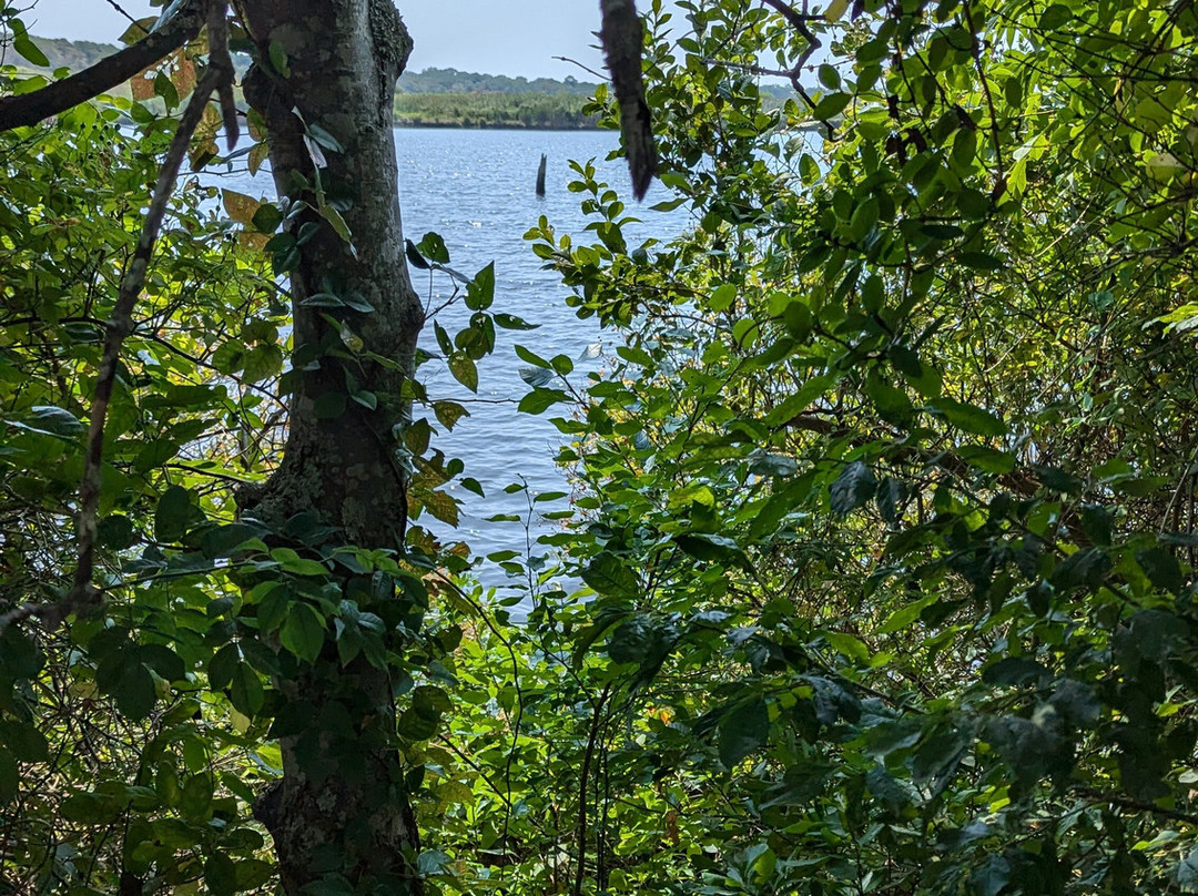 Wertheim National Wildlife Refuge-Shirley必去景点