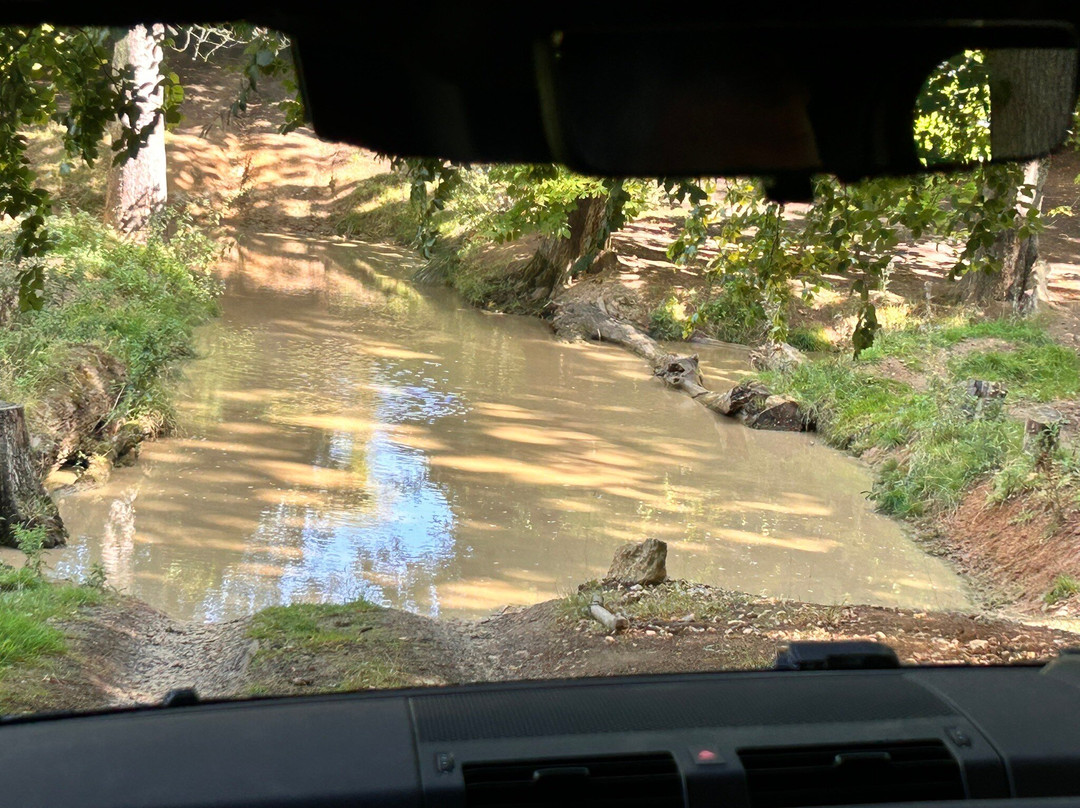 Landrover experience景点图片