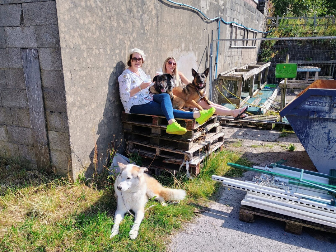 The Wensleydale Spirit Company-莱伯恩必去景点