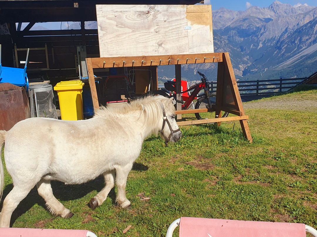 盖罗盖德隆酒店主图