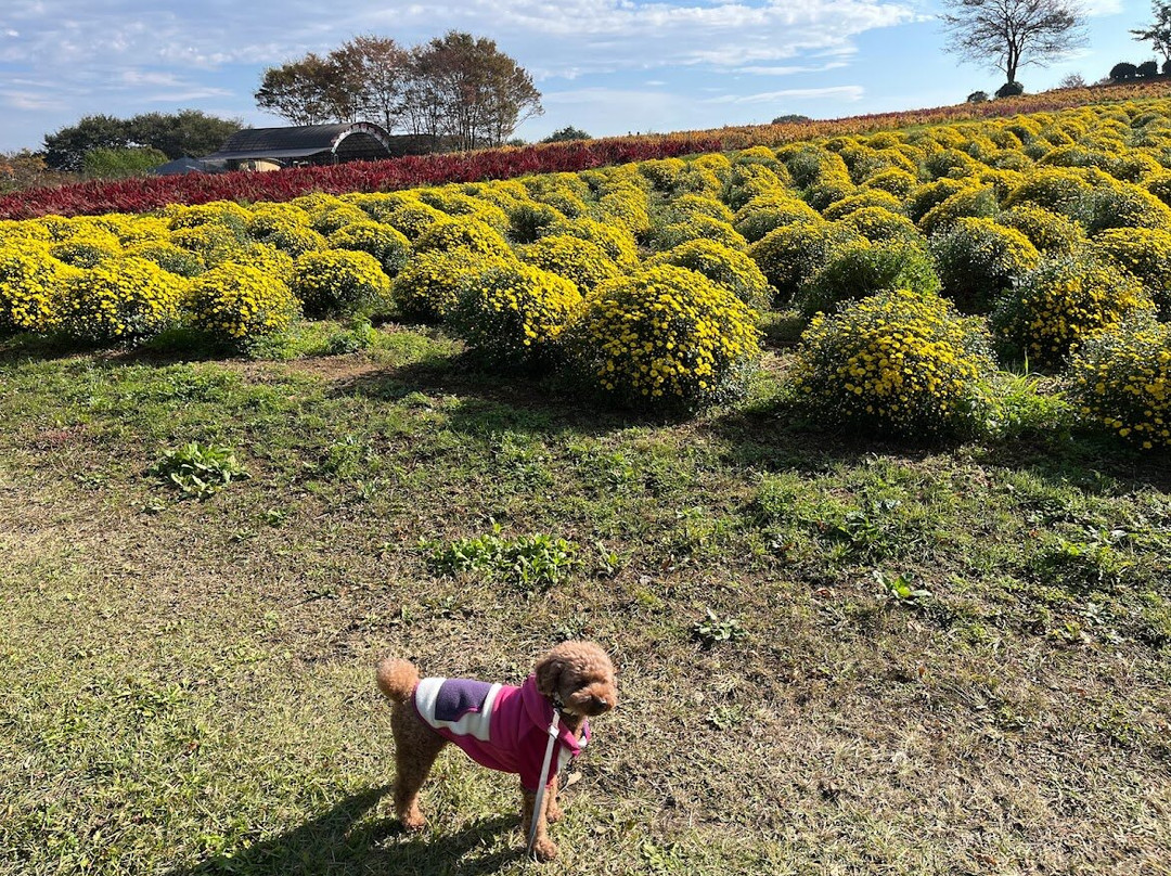 Nasu Flower World-那须町必去景点