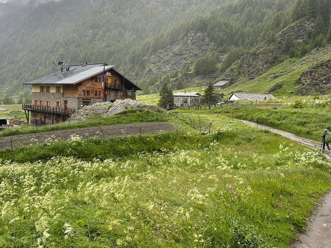 Trekking Alps景点图片