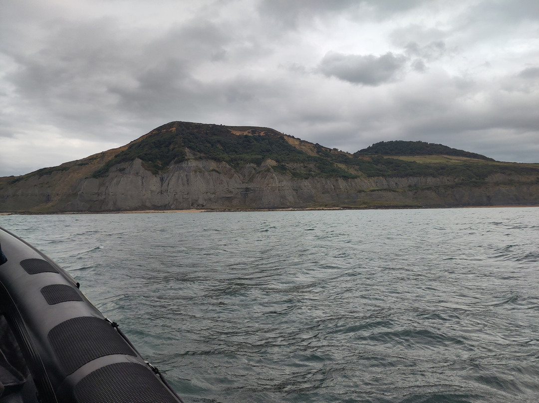 Lyme Bay Rib Charter景点图片