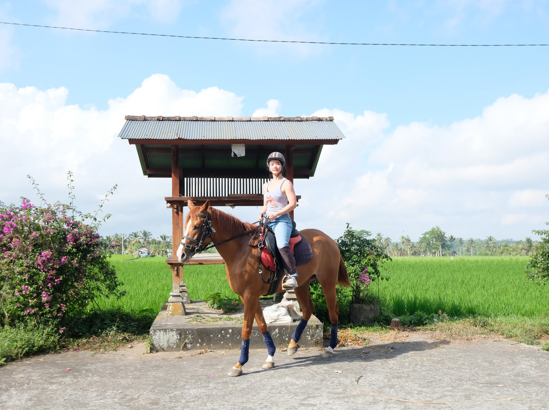 Ubud Horse Stables-德格拉朗必去景点