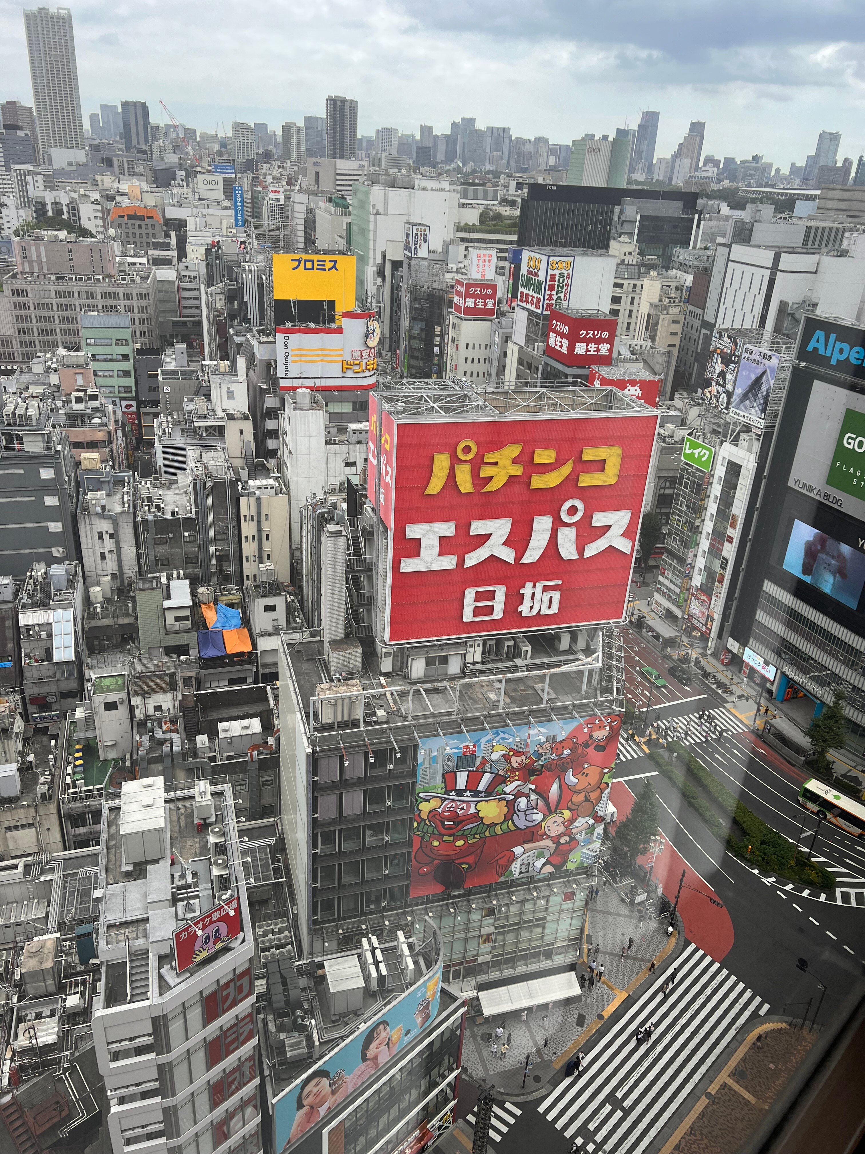 新宿王子大饭店-酒店景观