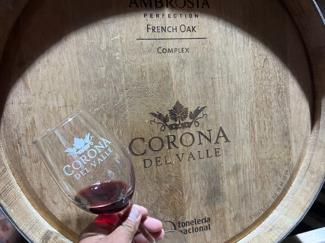 Corona Hotel & Spa主图