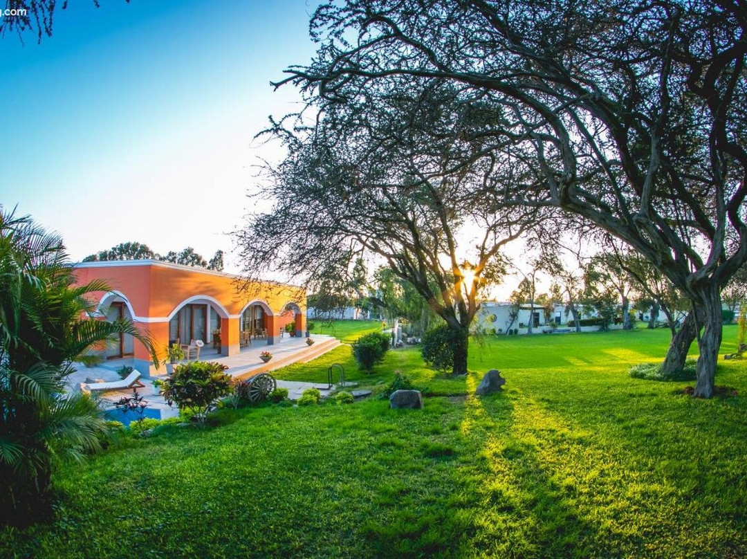 Monteverde Boutique Hotel主图