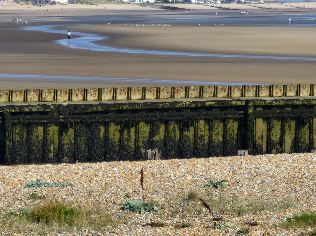 Rye Harbour Discovery Centre景点图片
