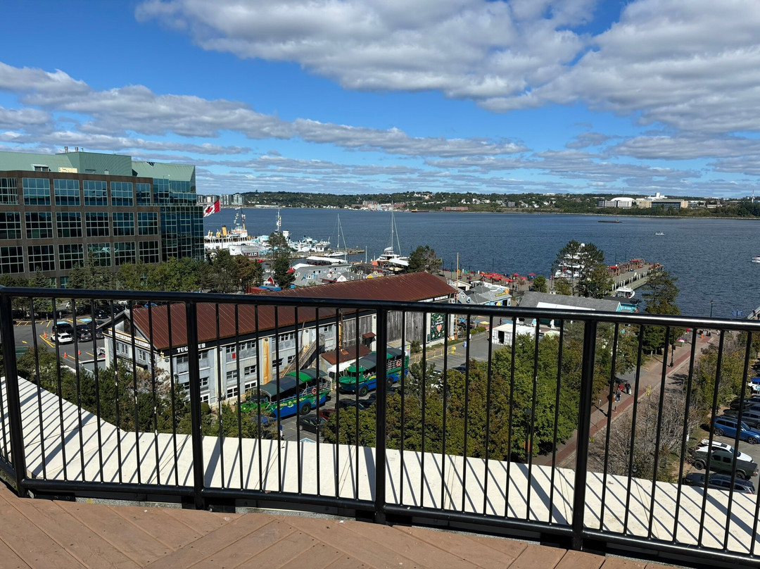 哈利法克斯市中心万怡酒店主图