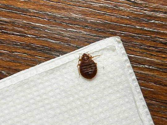 The Stone Village Tourist Camp主图