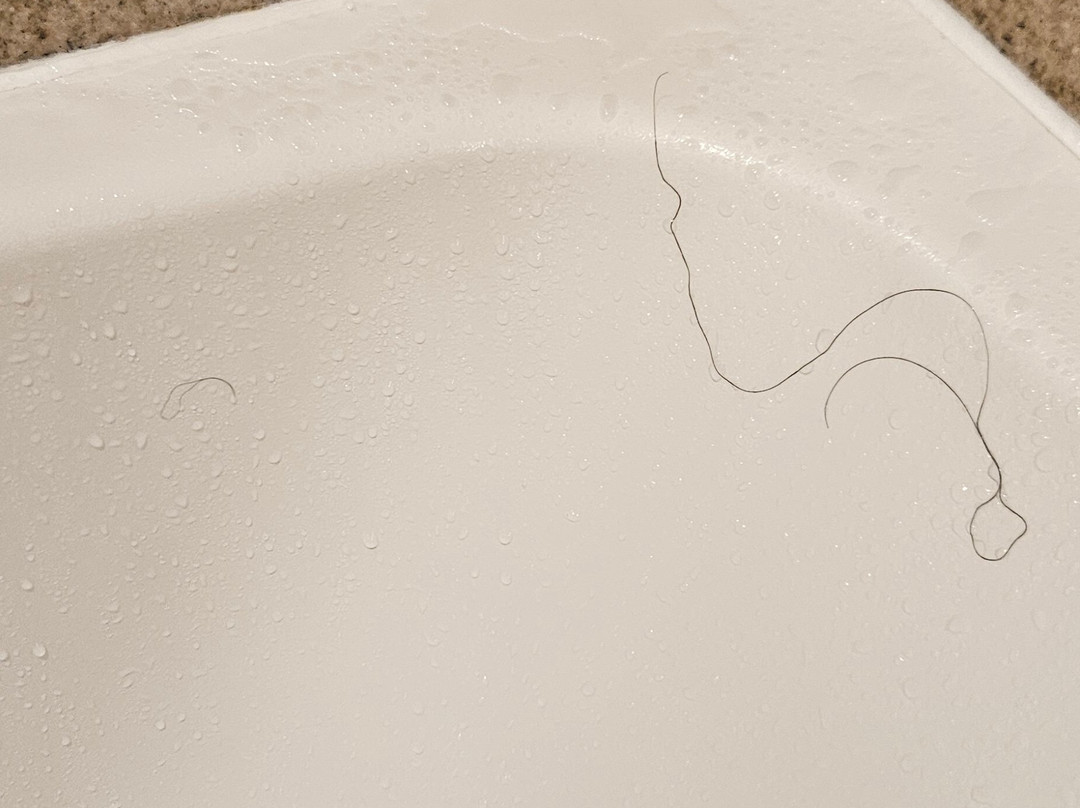 Hilton Garden Inn Halifax Airport主图