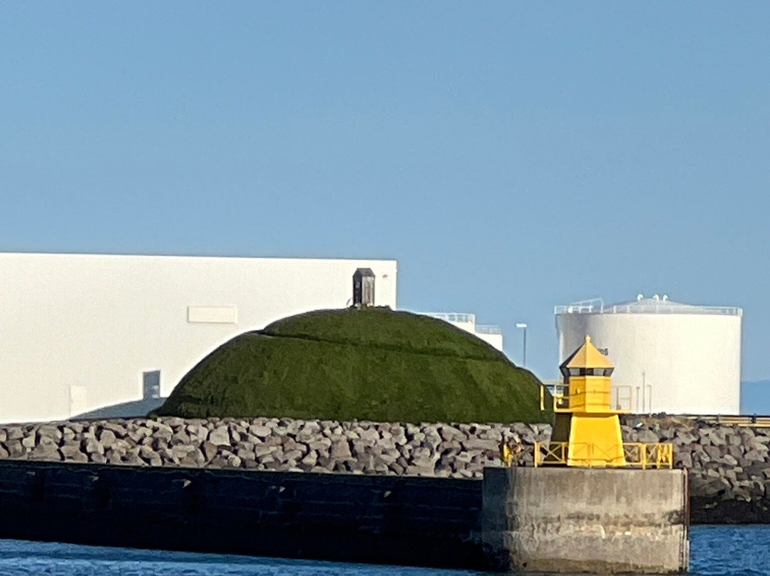 Thufa (þúfa)-雷克雅未克必去景点