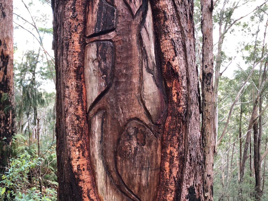 Bulahdelah Mountain Walk-Bulahdelah必去景点