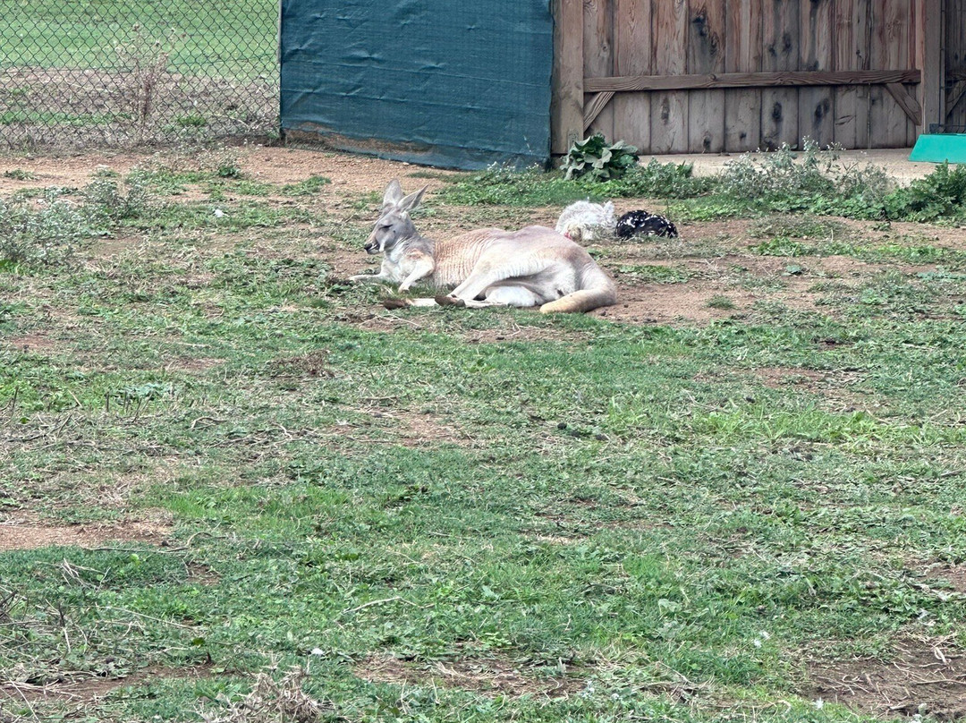 Corsica Zoo-Olmeta di Tuda必去景点