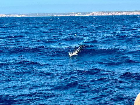 Sagres Surf School-萨格里什必去景点