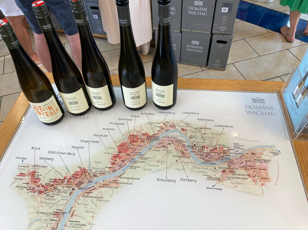Domane Wachau Vinothek & Shop-都恩石必去景点
