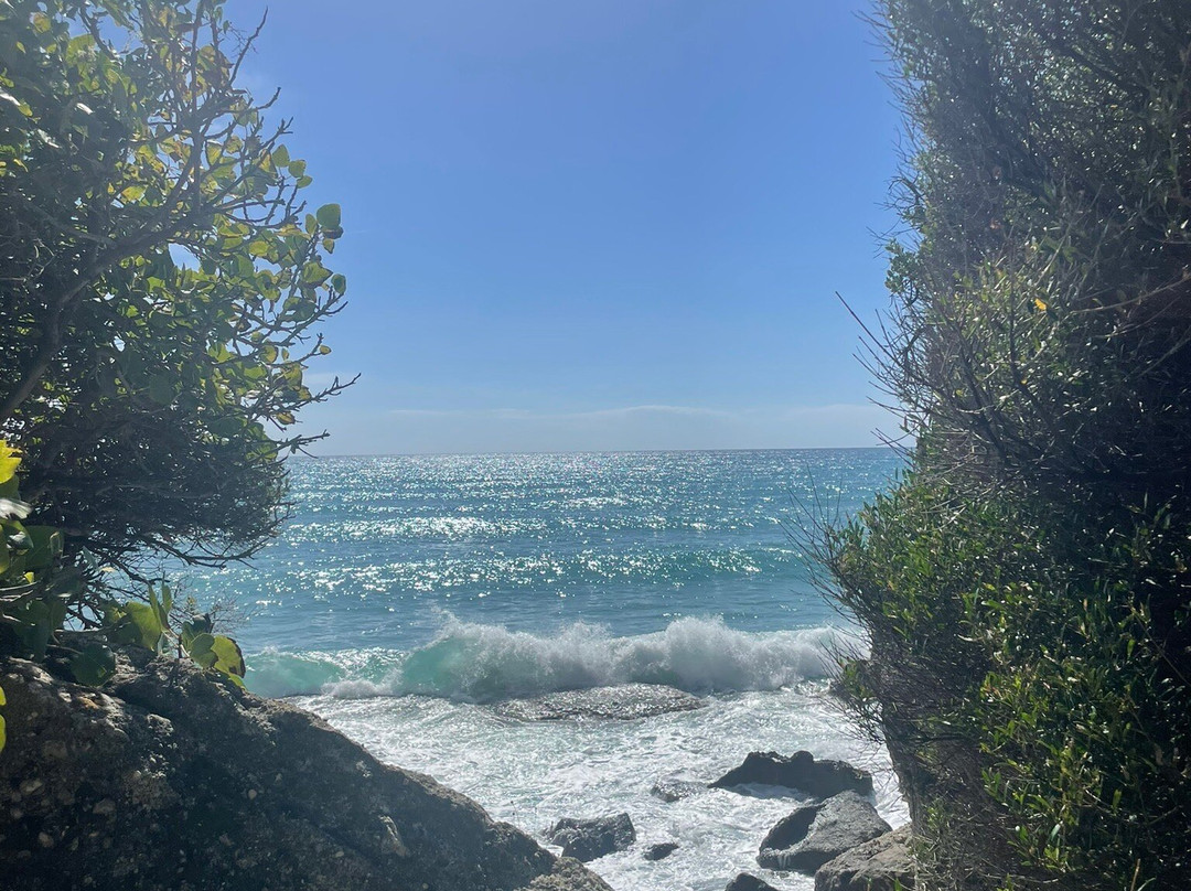 Mirtiotissa Beach-科孚必去景点