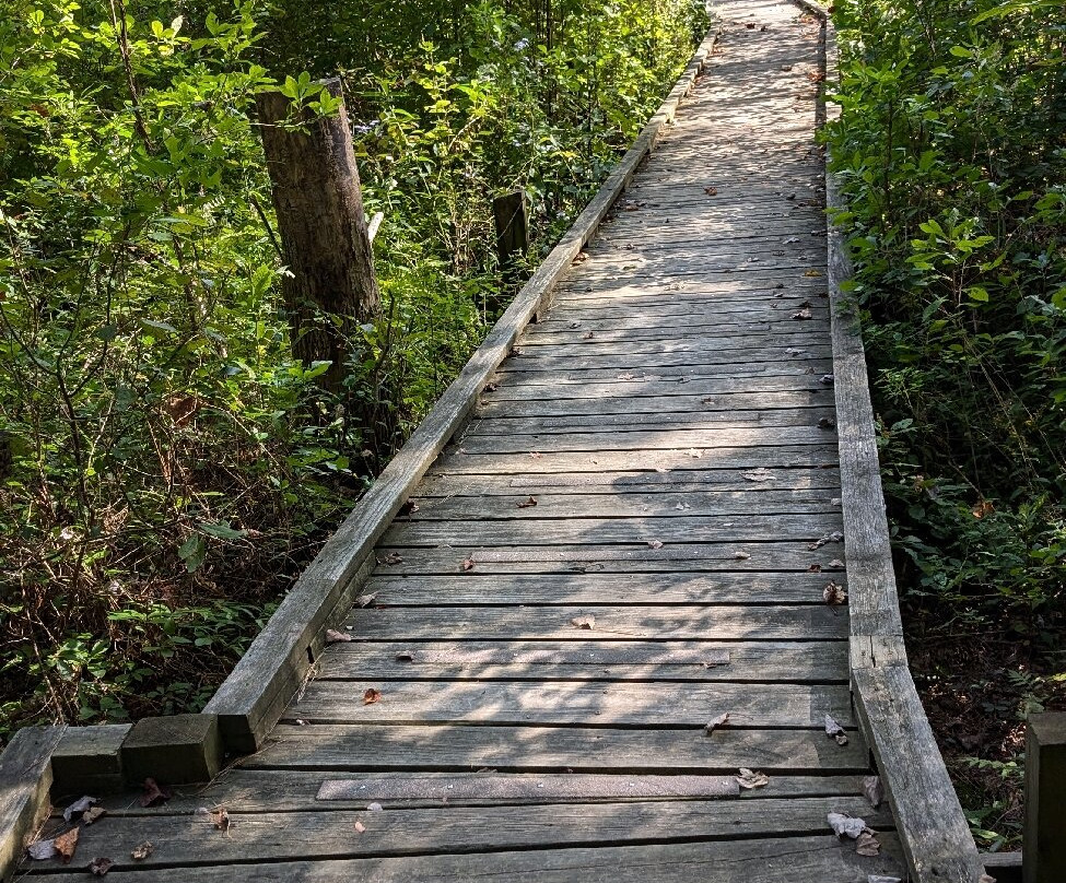 Abbott's Mill Nature Center景点图片