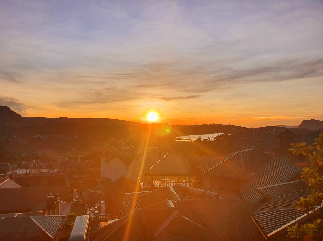 Oak Ray Summer Hill Breeze主图