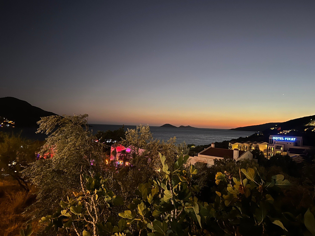 Mini Bar-卡尔坎必去景点