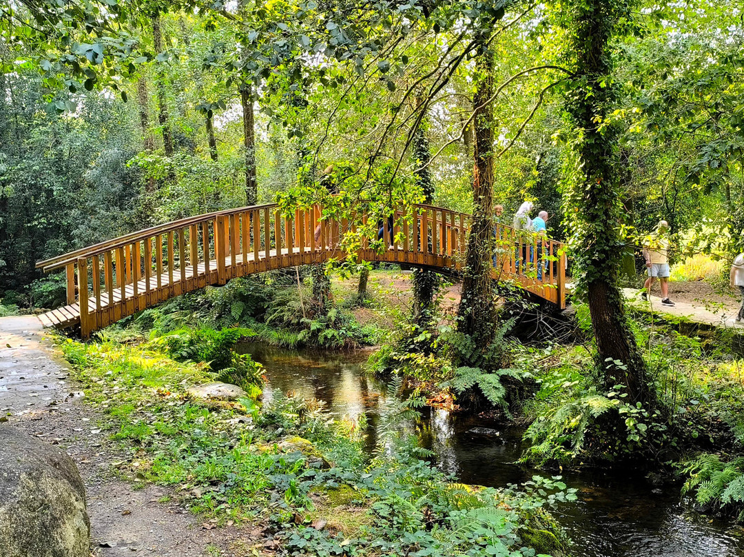 Parque Natural Ria Barosa景点图片