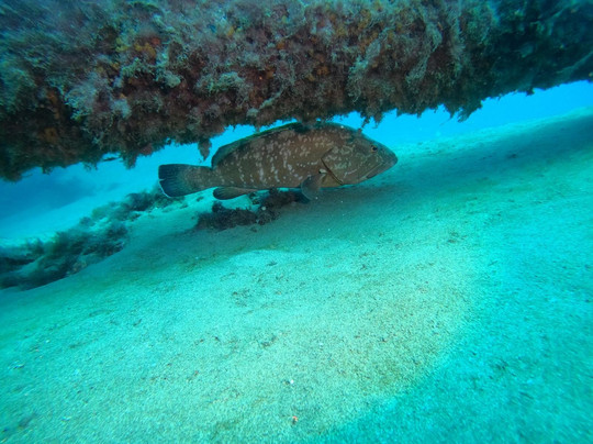 Bahianus Club Lanzarote-卡门港必去景点