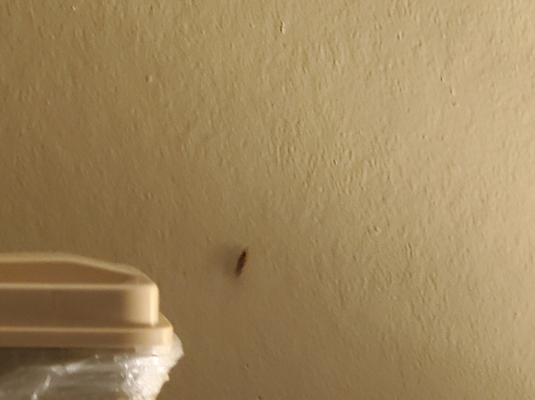 Microtel Inn & Suites by Wyndham Columbia/Fort Jackson N主图