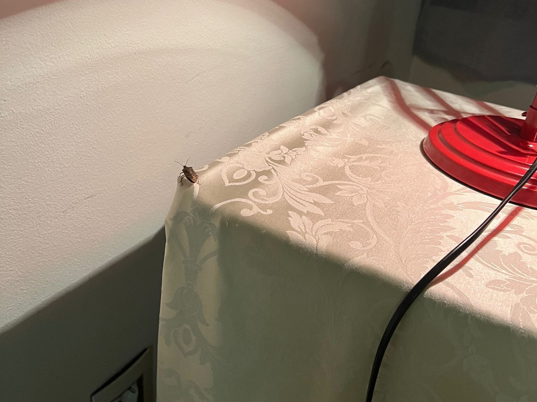 Locanda Osteria Veneta "da Piero"主图