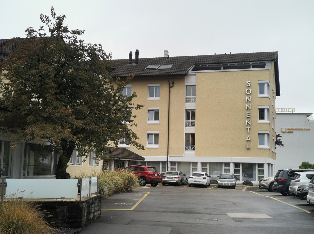 Sorell Hotel Sonnental主图