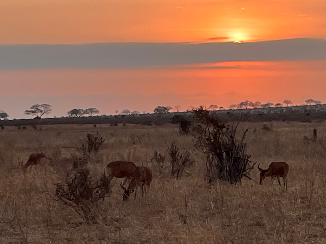 Pitia Africa Safaris-迪亚尼必去景点