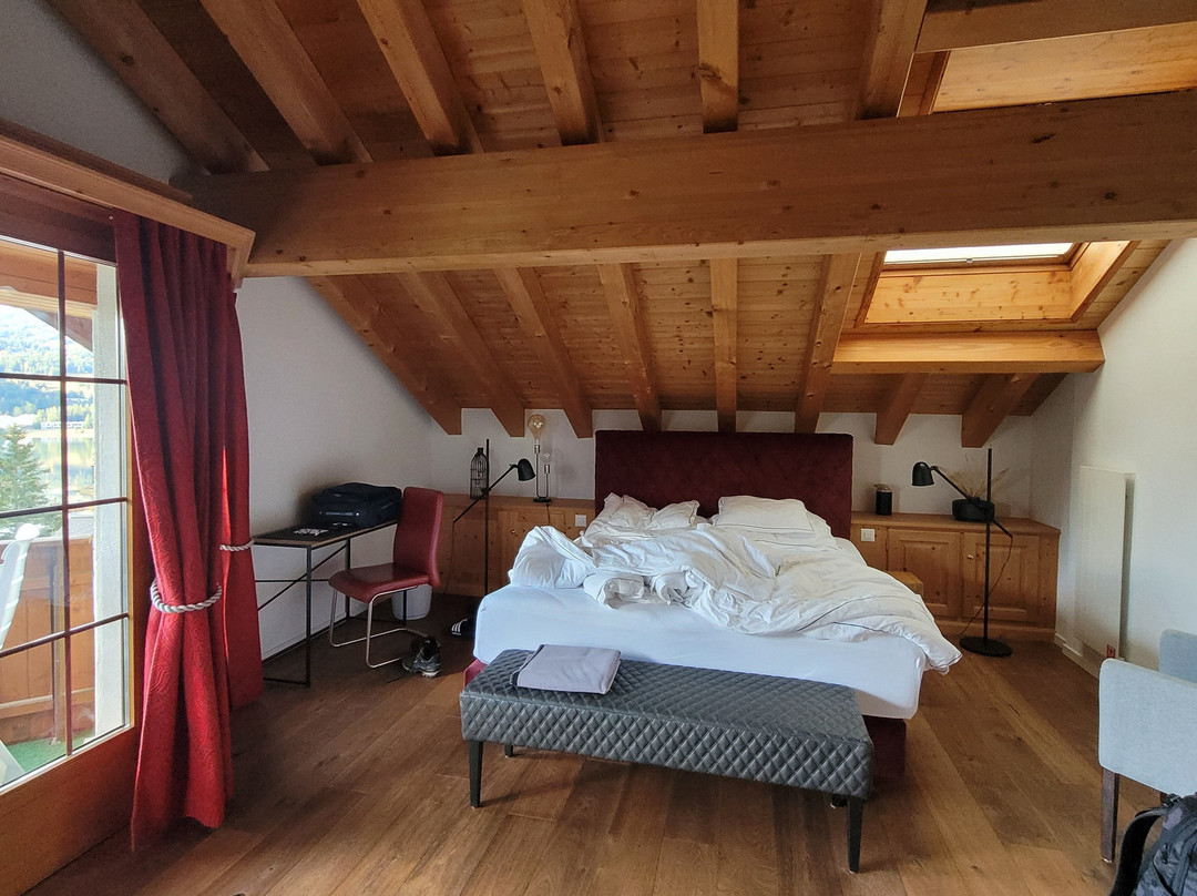 Hotel Waldhaus am See主图