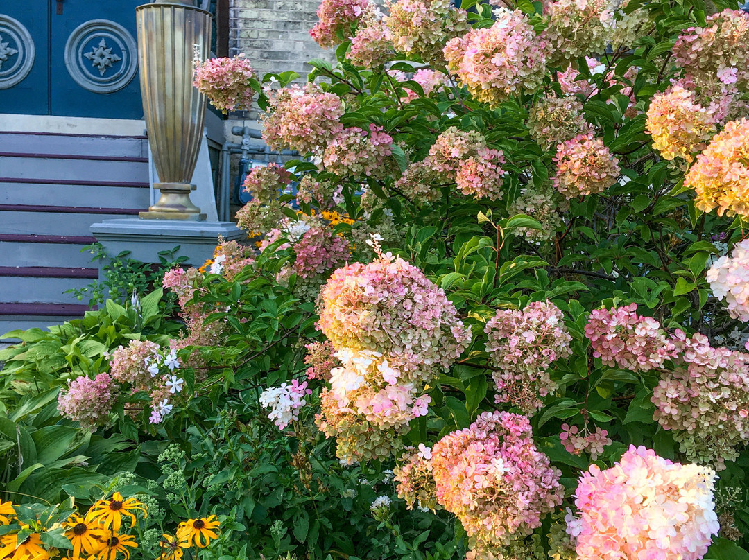 Guardian Angel Bed and Breakfast主图