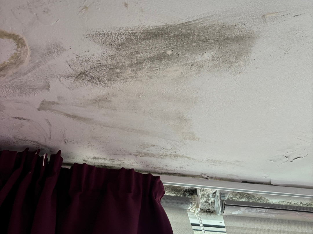 Pension Pardellas主图