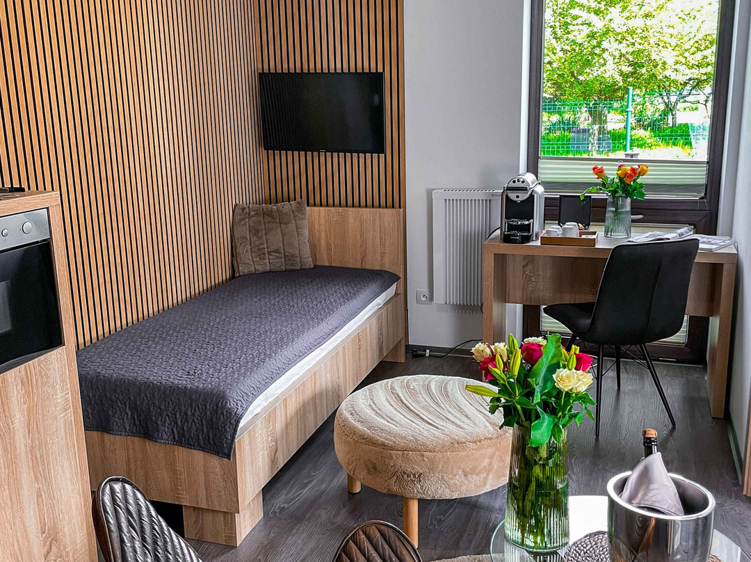 Hotel U Hradku****superior主图