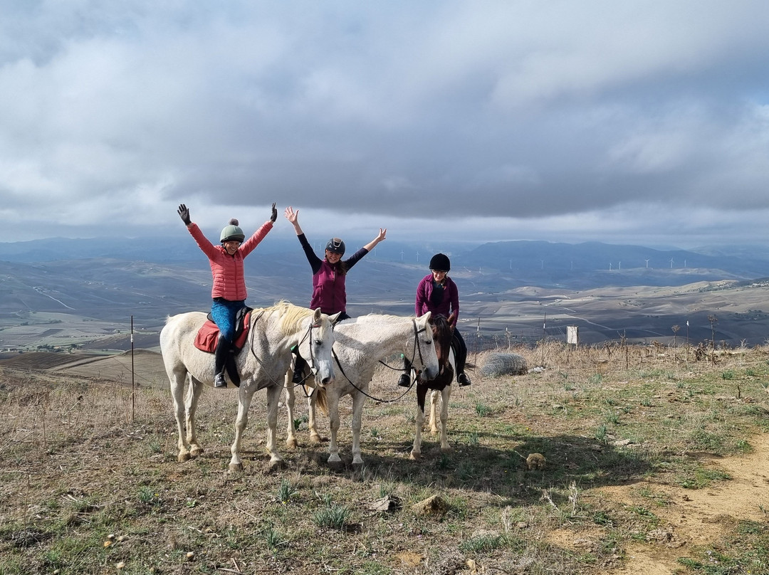 Horse Riding at Pippa's Paddock景点图片