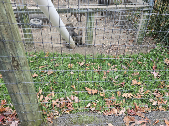 Hovatter's Wildlife Zoo-Kingwood必去景点