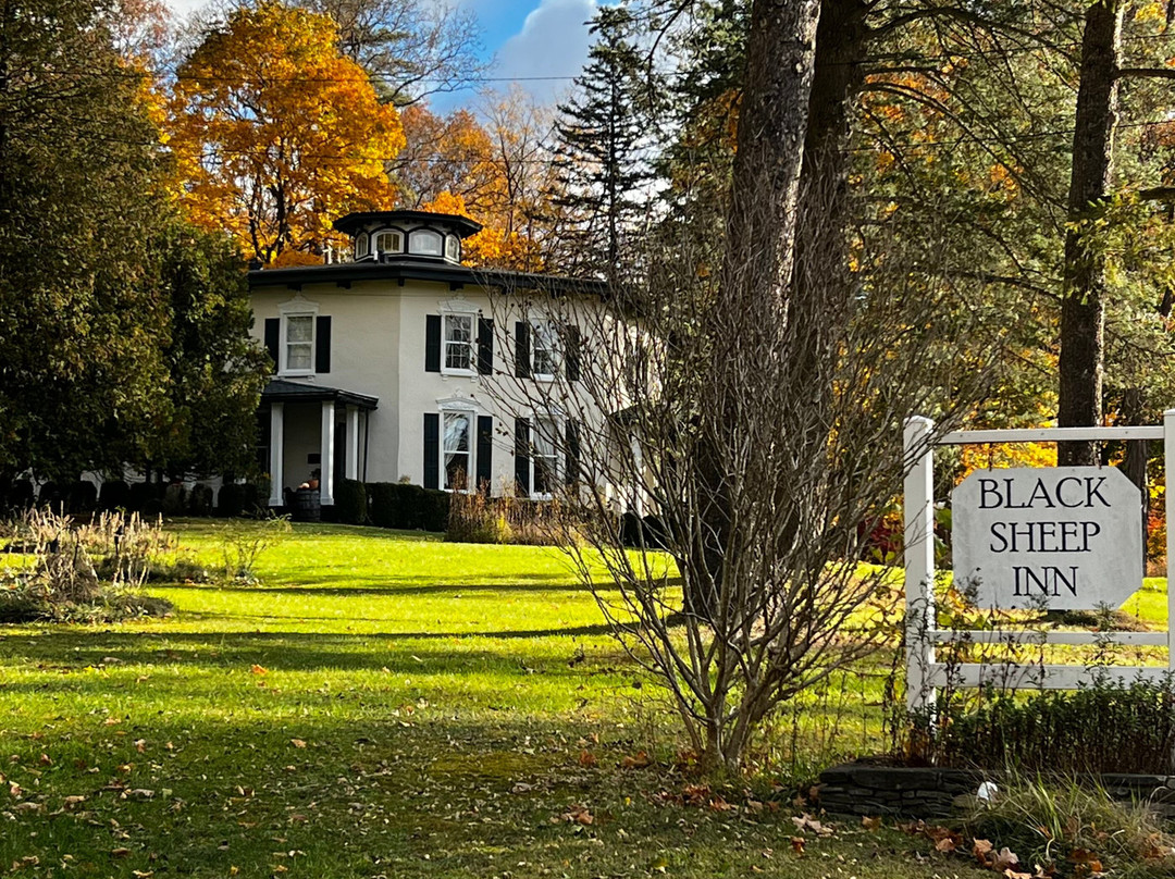 The Black Sheep Inn And Spa主图