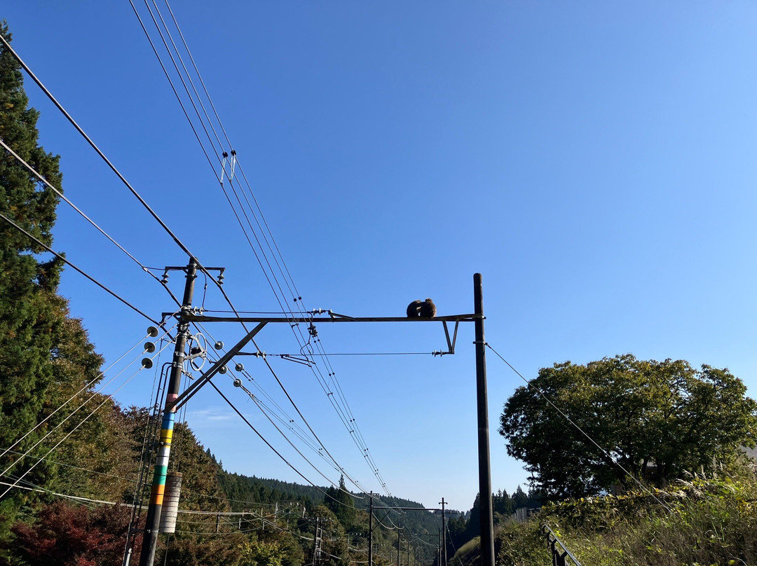 Kyu Maruyama Hendenjo-安中市必去景点