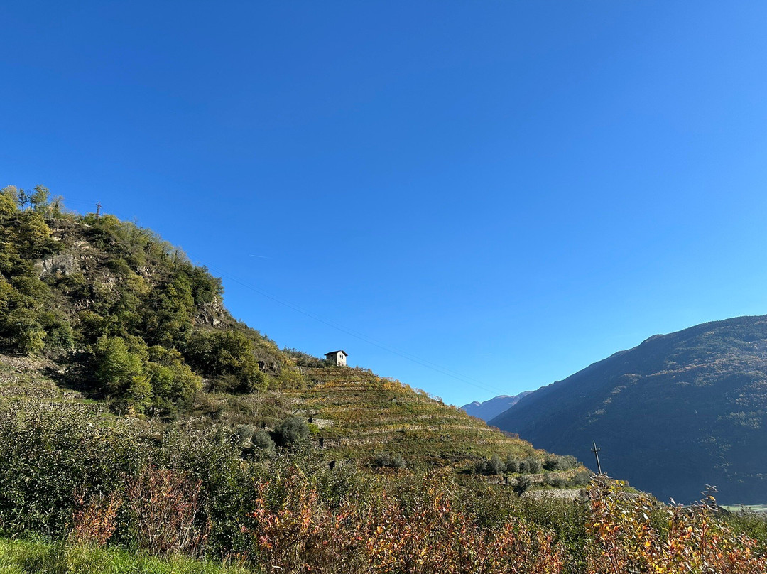 Agriturismo Prada主图