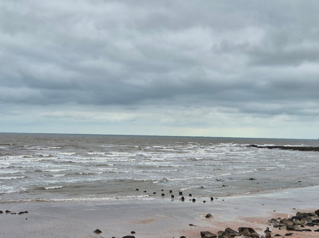 Dawlish Warren Beach-道利什必去景点