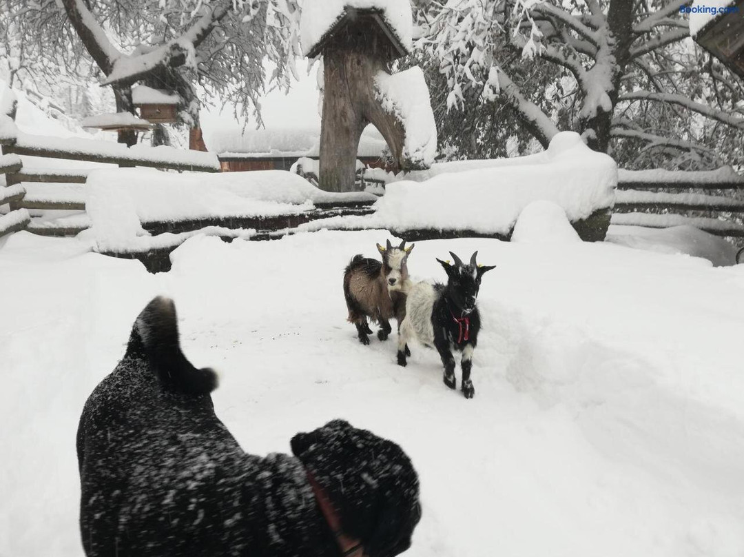 Gupf Panoramahof主图