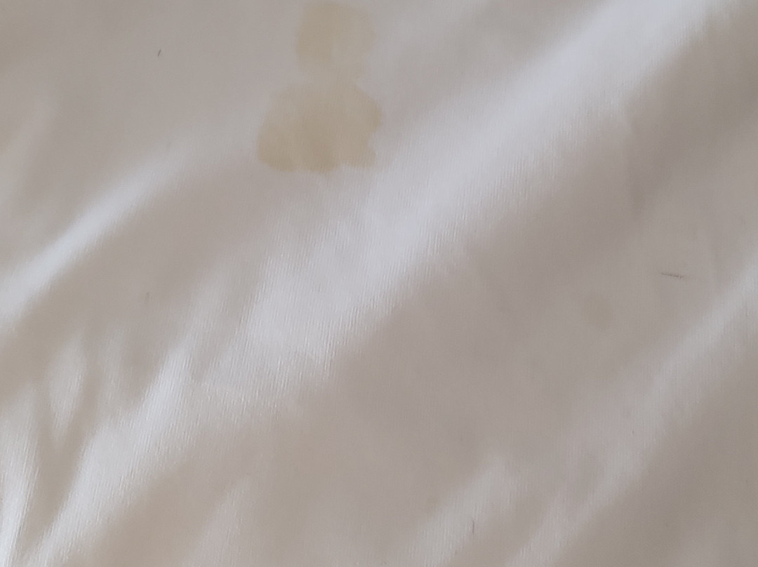 Hampton Inn Lumberton主图