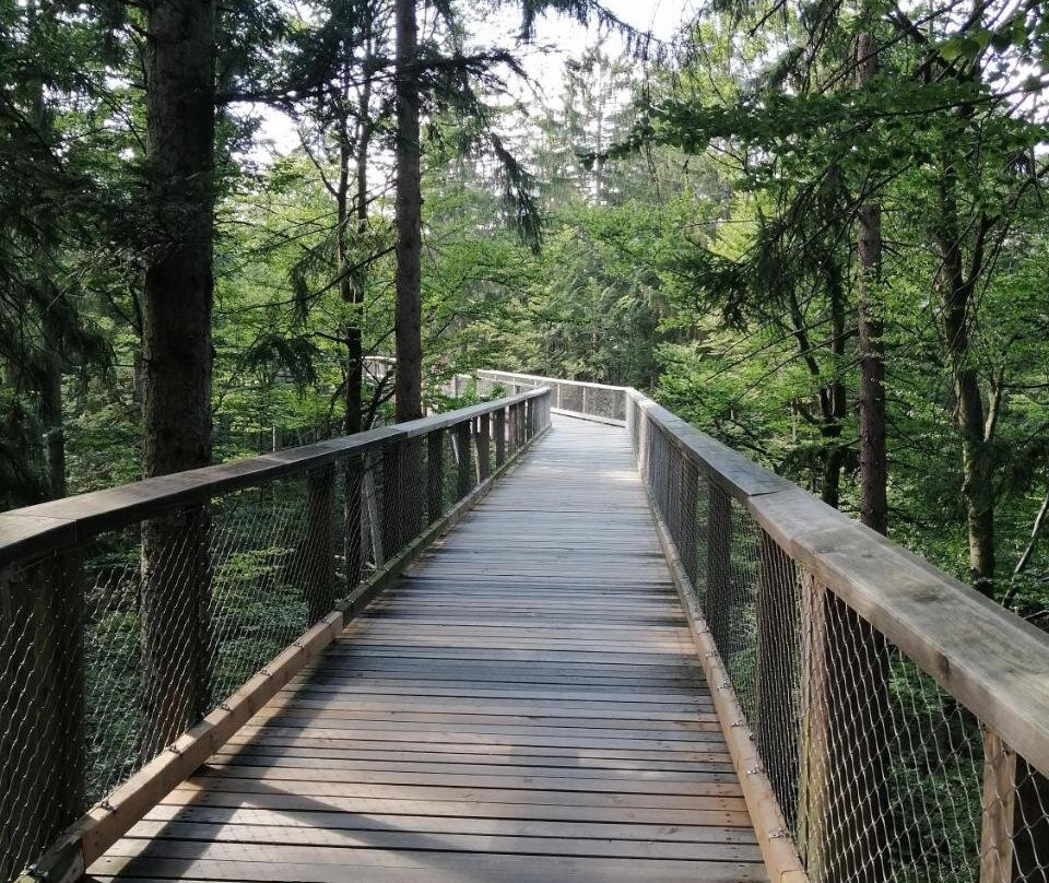 Waldferienhof am Nationalpark