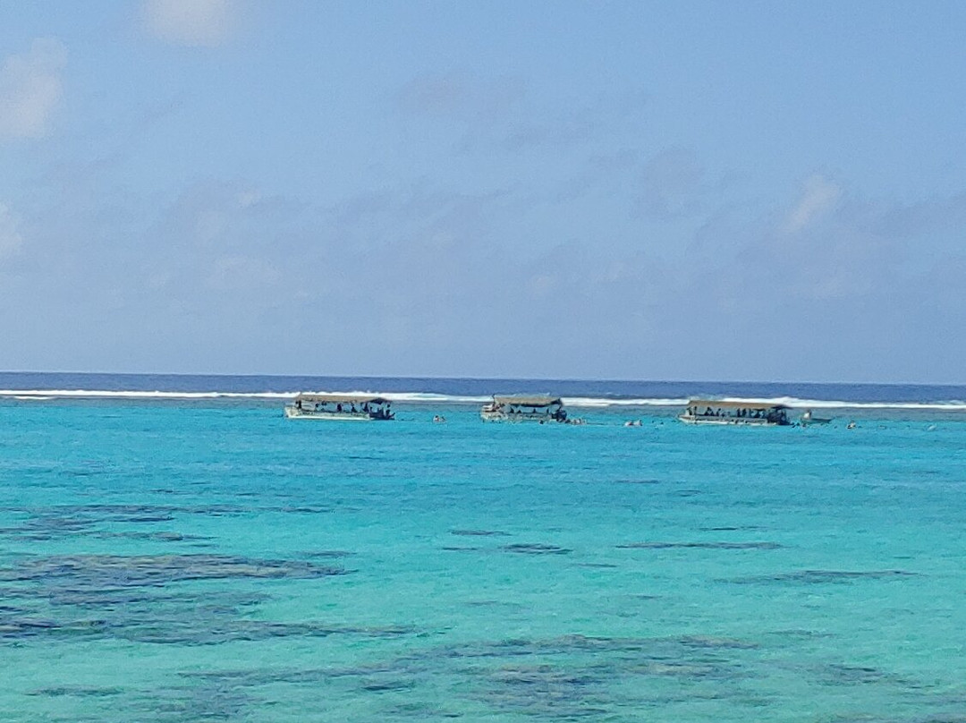 Tikioki Marine Reserve-拉罗汤加必去景点