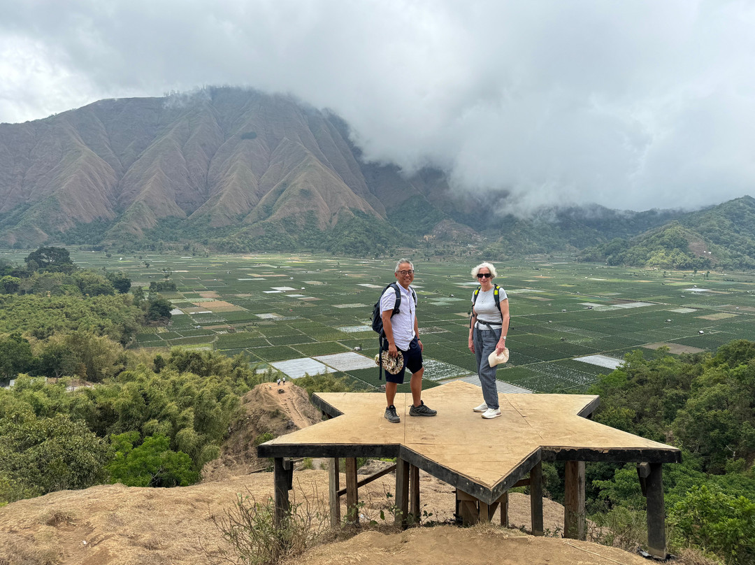 Rinjani Mountain Garden主图