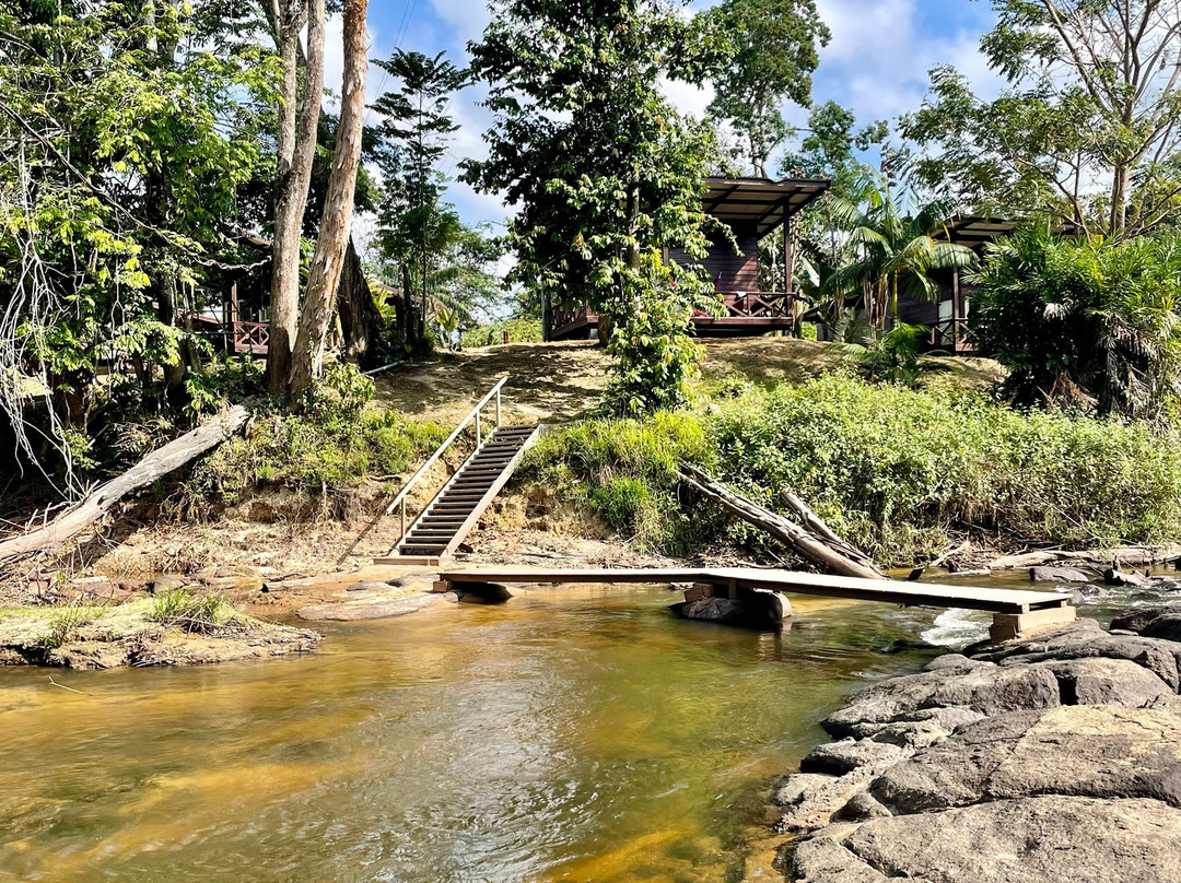 Knini Paati - Jungle & River Eco Resort主图