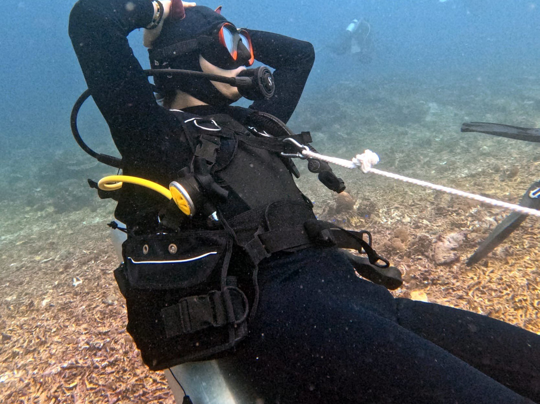 Scuba Junkie Komodo景点图片