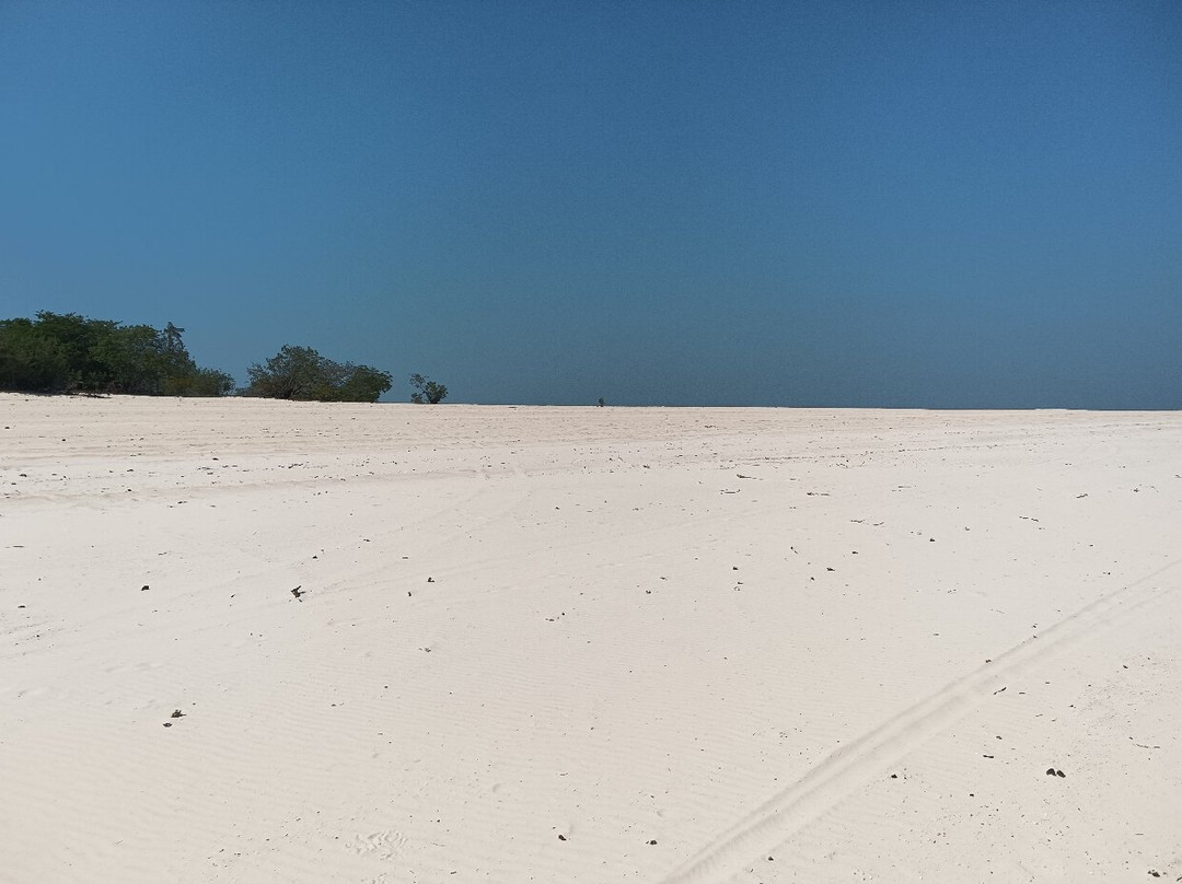 Ponta do Mureta-Alter do Chao必去景点