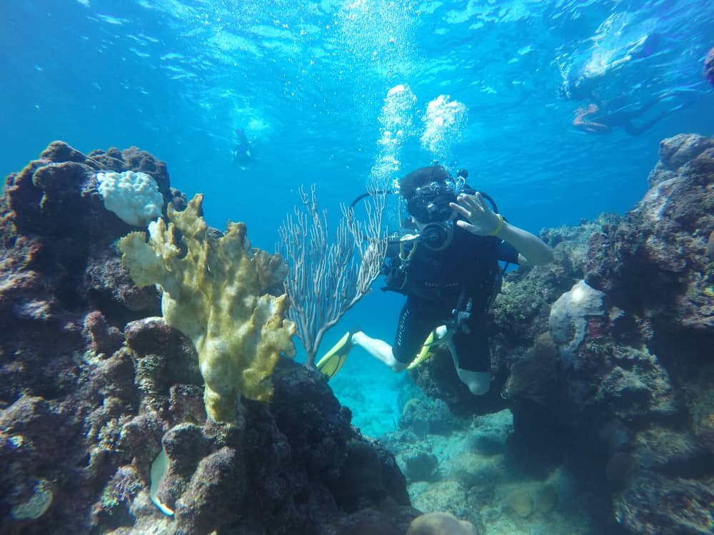 UnderwaterCuba景点图片