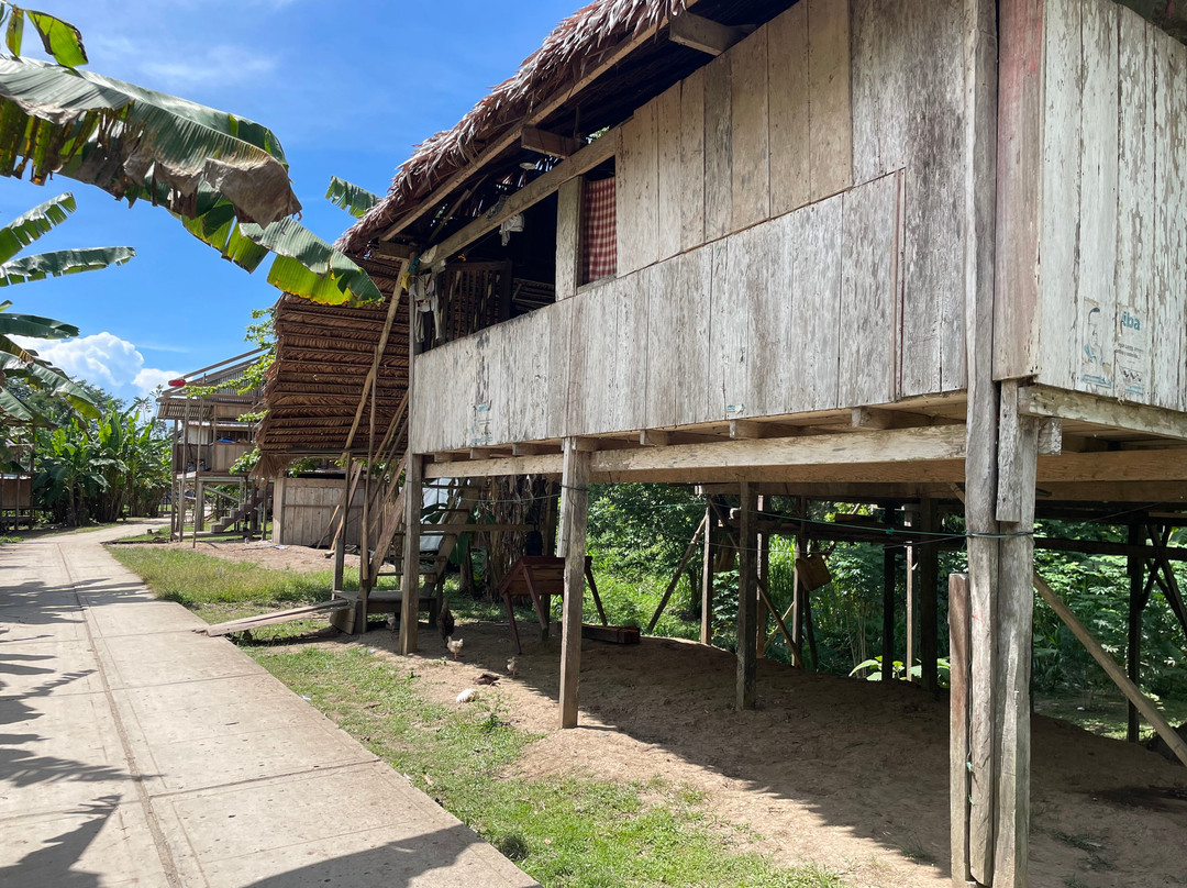 Jungle Jim Tours-伊基托斯必去景点